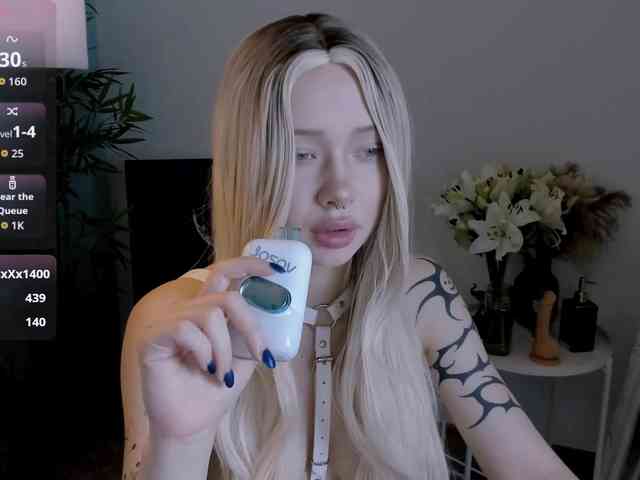 DragonFlya webcam