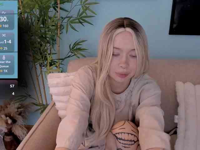 DragonFlya webcam