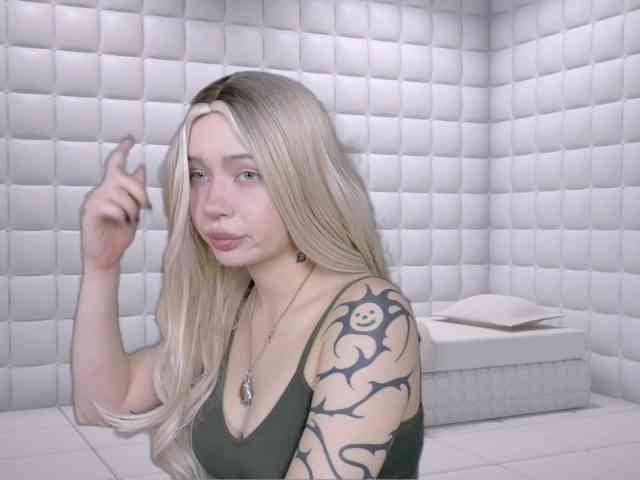 DragonFlya webcam