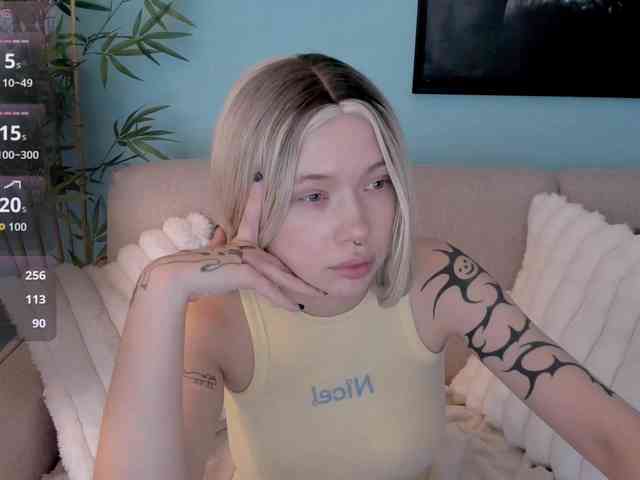 DragonFlya webcam