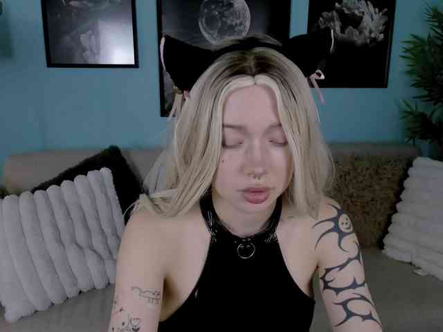 DragonFlya webcam