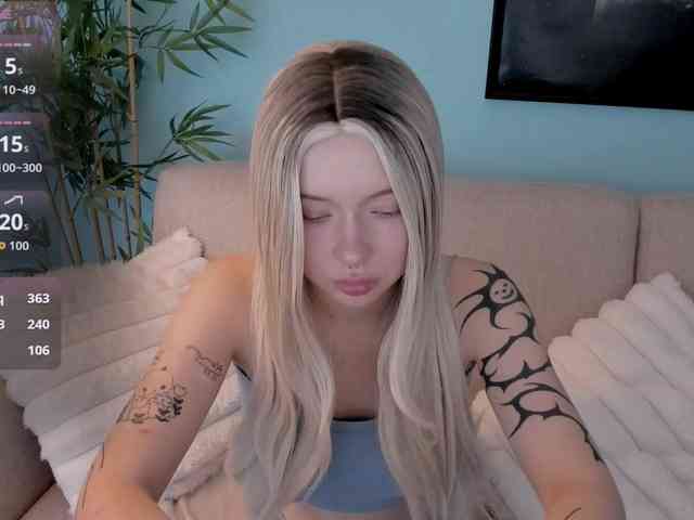 DragonFlya webcam