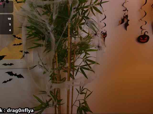 DragonFlya