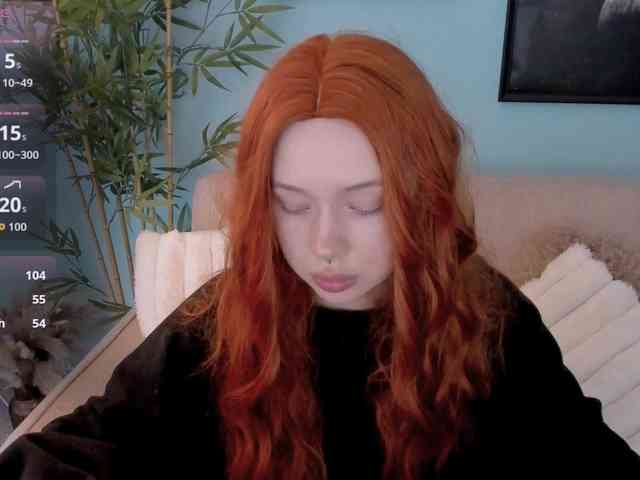 DragonFlya webcam