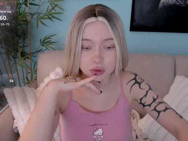DragonFlya webcam