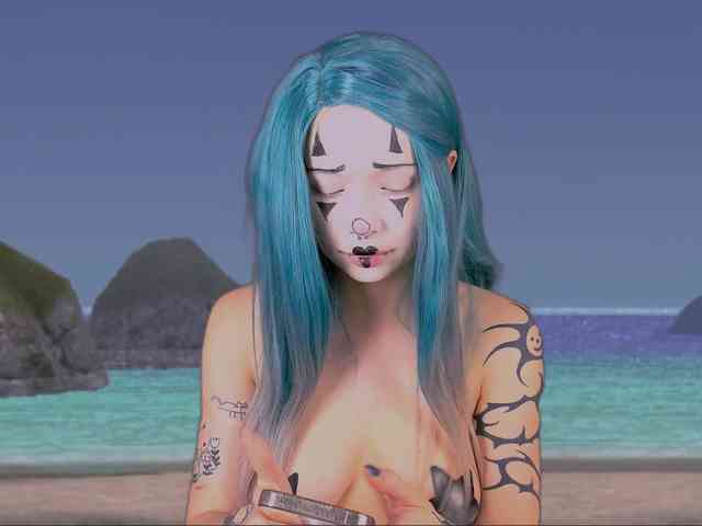 DragonFlya webcam