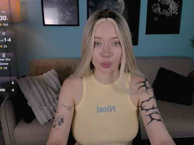 DragonFlya webcam