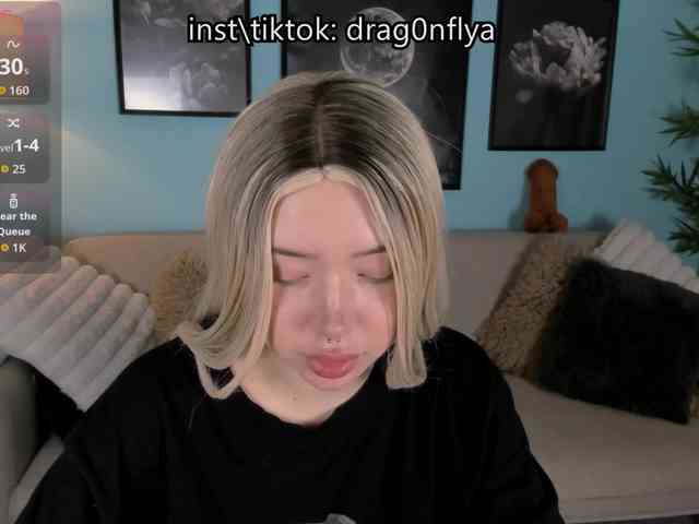 DragonFlya webcam