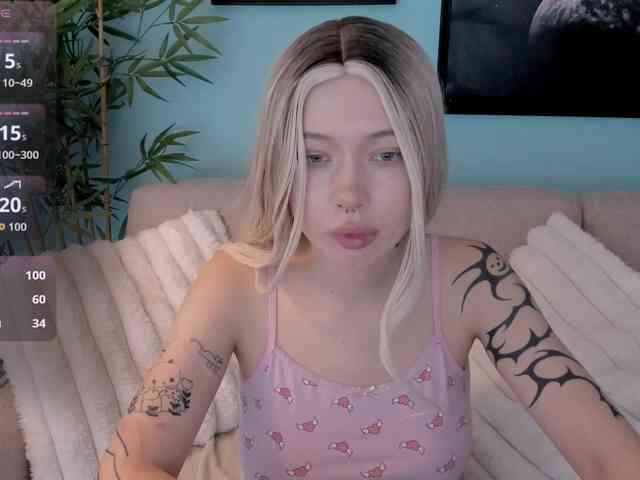 DragonFlya webcam