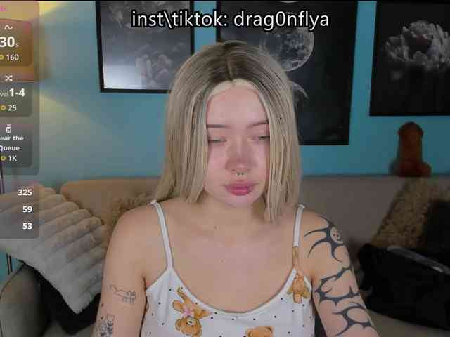 DragonFlya webcam