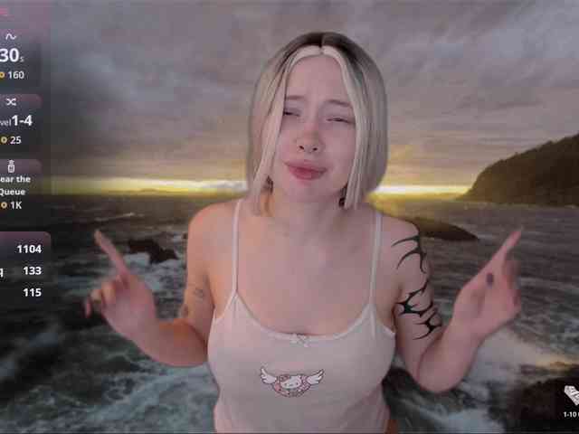 DragonFlya webcam