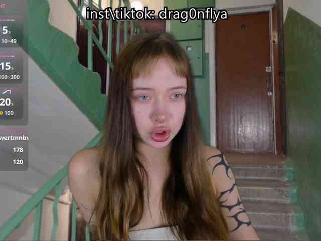 DragonFlya webcam