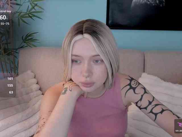 DragonFlya webcam