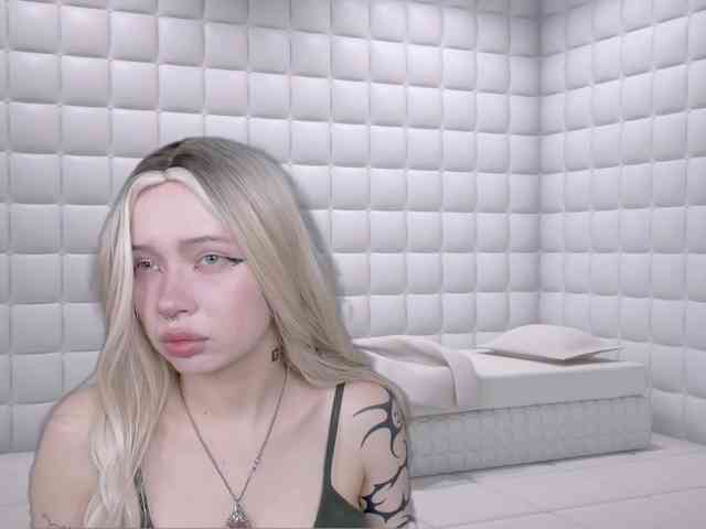 DragonFlya webcam