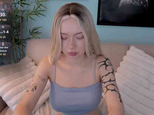 DragonFlya webcam