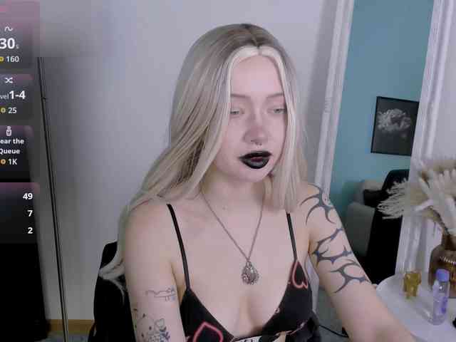 DragonFlya webcam