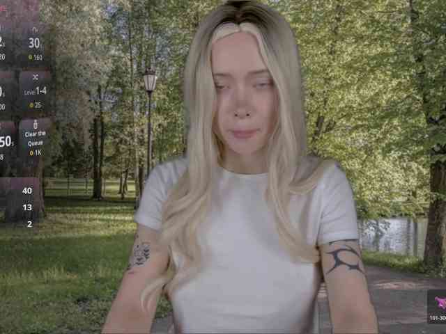 DragonFlya webcam