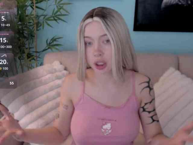 DragonFlya webcam