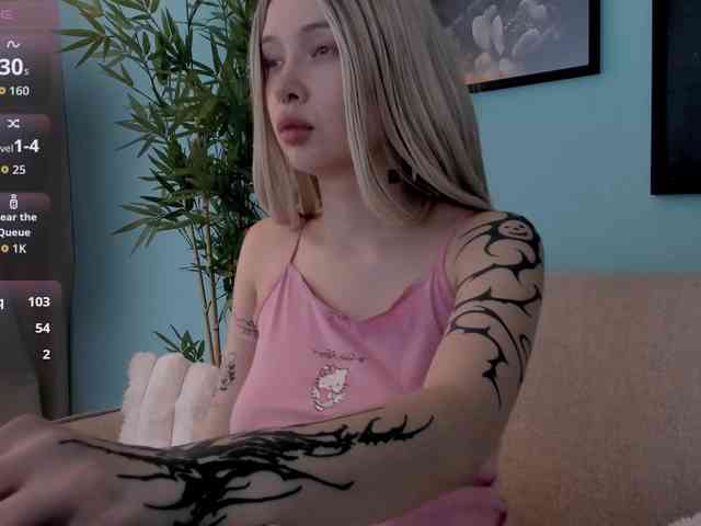 DragonFlya webcam