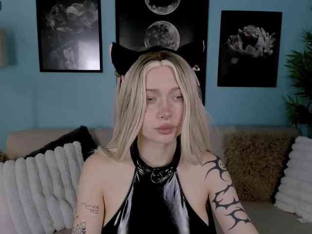 DragonFlya webcam