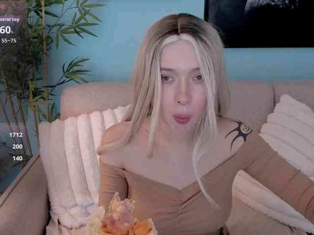 DragonFlya webcam