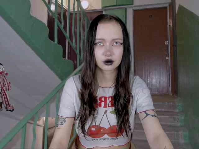 DragonFlya webcam