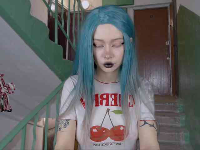 DragonFlya webcam