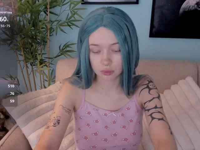 DragonFlya webcam