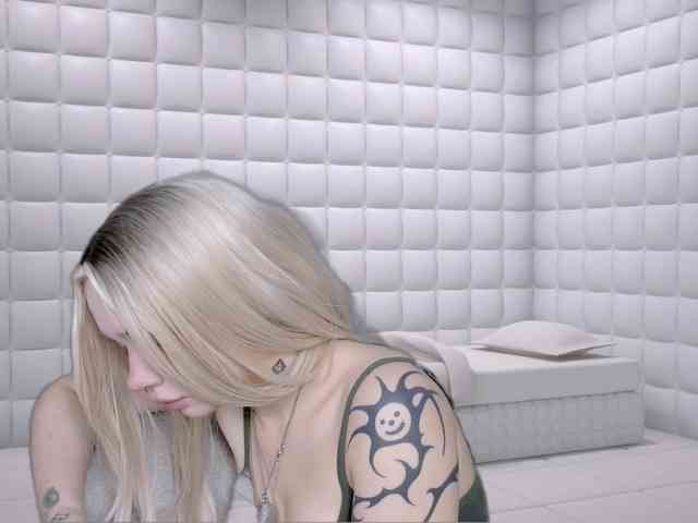 DragonFlya webcam