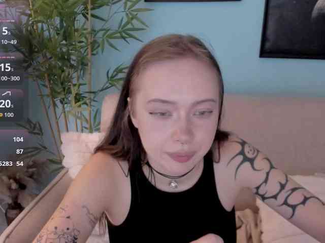 DragonFlya webcam
