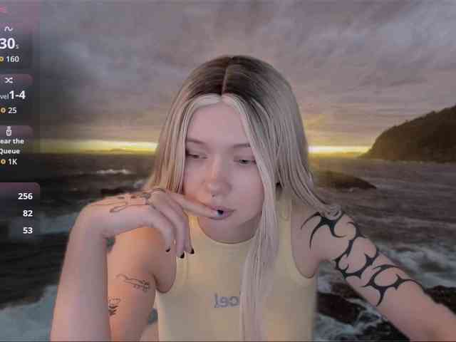 DragonFlya webcam