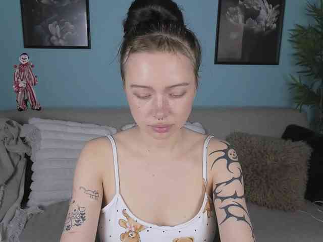 DragonFlya webcam