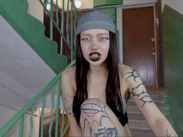 DragonFlya webcam