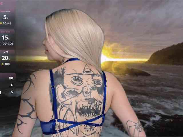 DragonFlya webcam