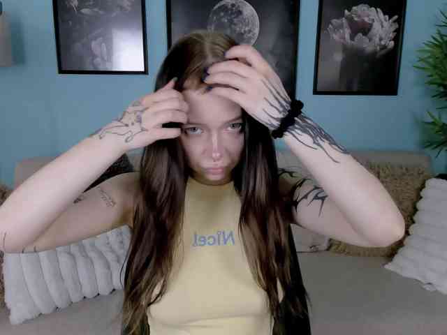 DragonFlya webcam
