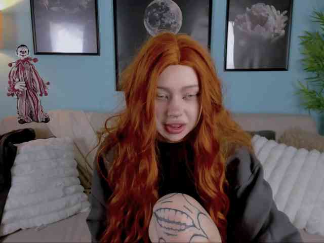 DragonFlya webcam