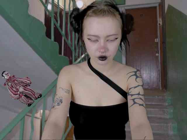 DragonFlya webcam