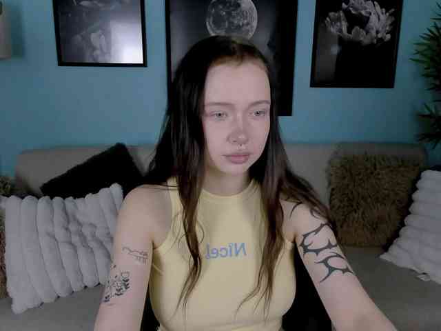 DragonFlya webcam