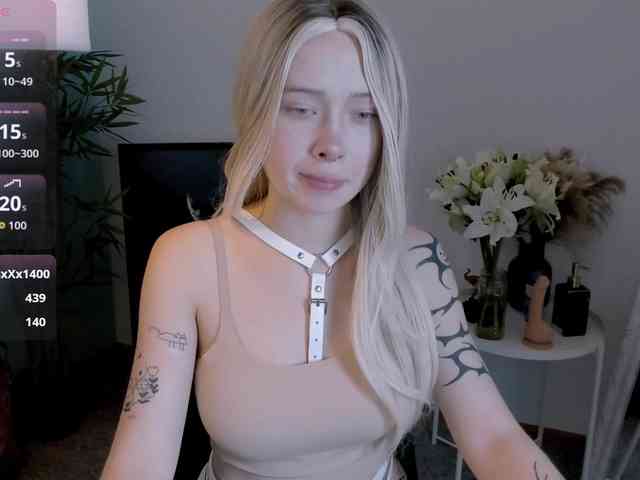 DragonFlya webcam