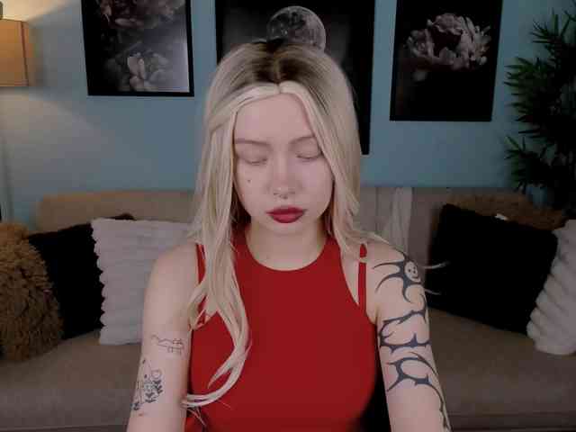 DragonFlya webcam