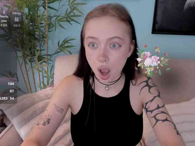 DragonFlya webcam