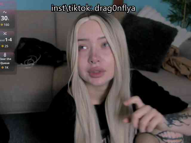 DragonFlya webcam