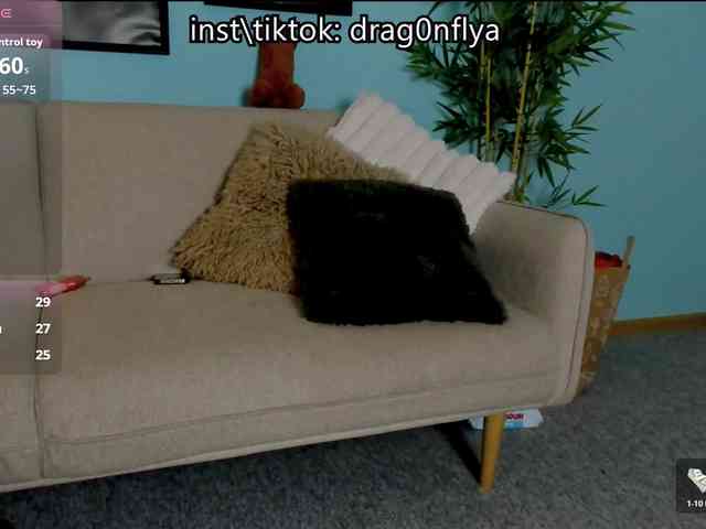 DragonFlya webcam