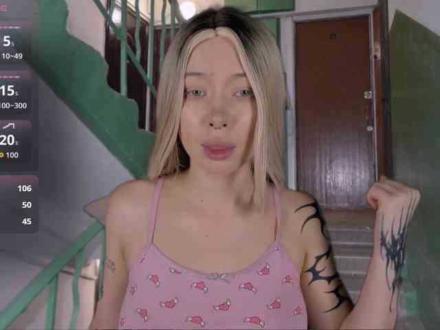 DragonFlya webcam
