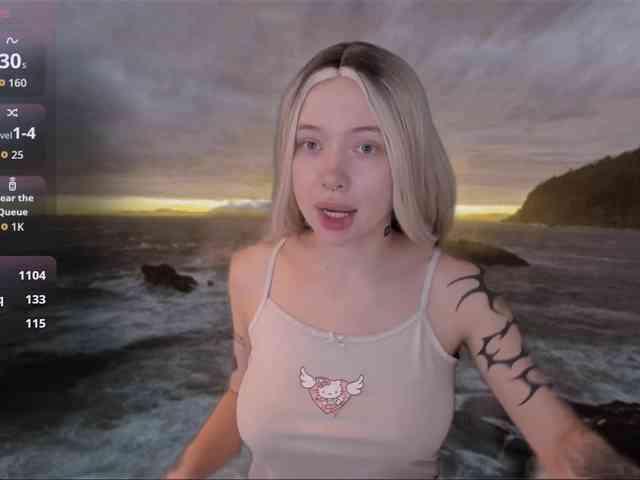 DragonFlya webcam