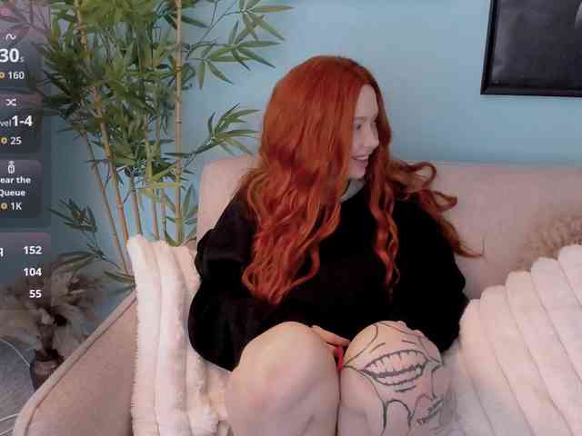 DragonFlya webcam