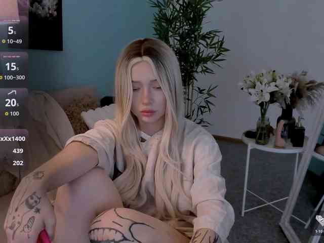 DragonFlya webcam