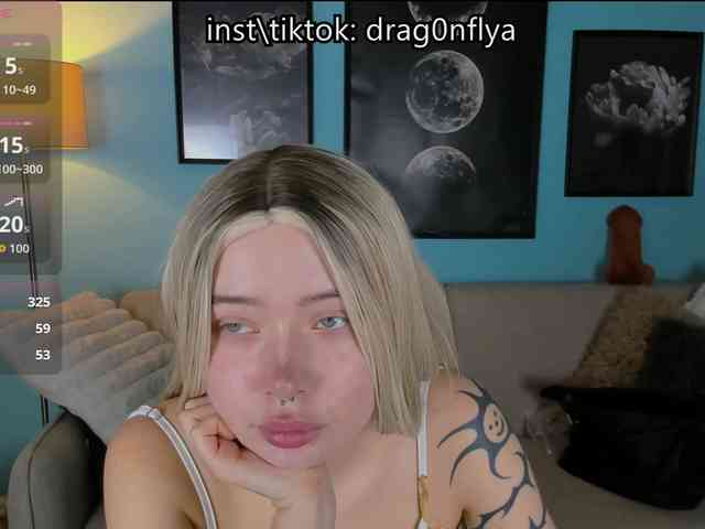 DragonFlya webcam