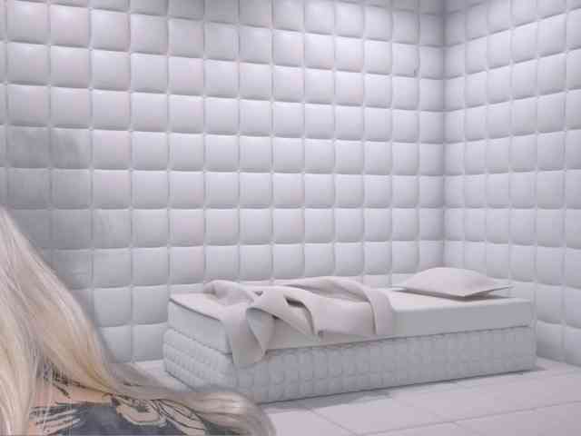 DragonFlya webcam