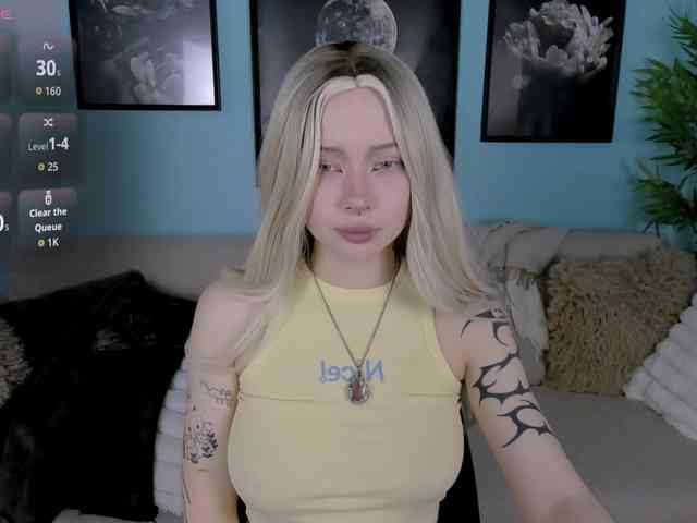 DragonFlya webcam